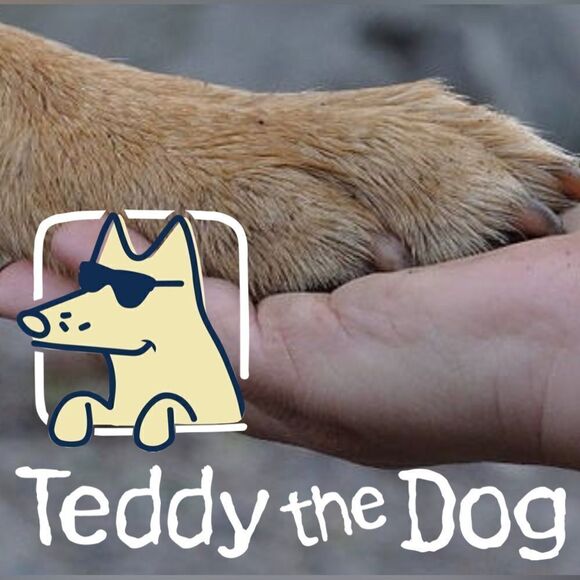 Puppy Kisses “Obedience School Drop Out” Ladies V Neck T-Shirt - Picture 3 of 8